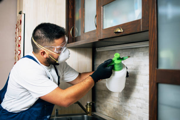 Best Best Pest Control Companies  in Somersworth, NH
