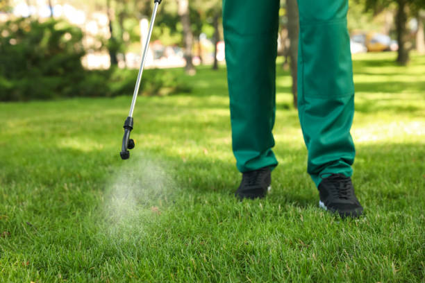 Best Rodent Control Near Me  in Somersworth, NH