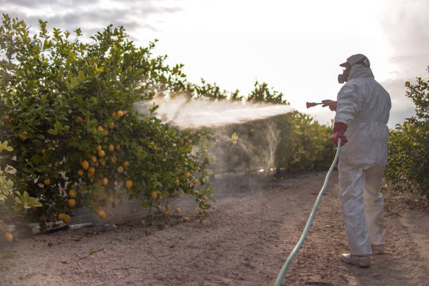 Best Best Pest Control Companies  in Somersworth, NH