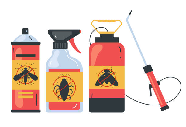 Flea Control Services in Somersworth, NH