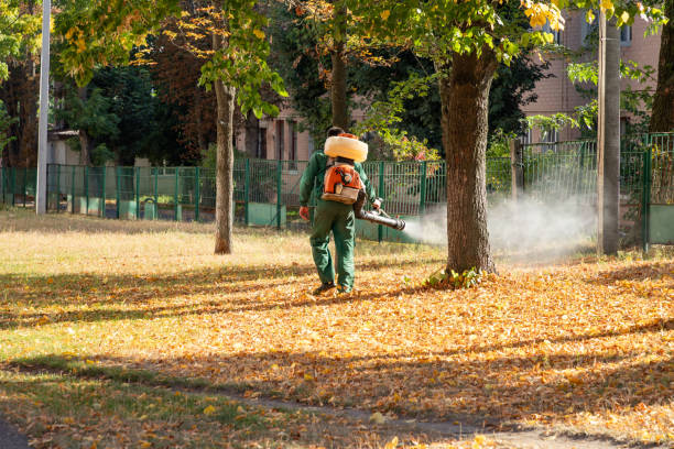 Best Local Pest Control Services  in Somersworth, NH