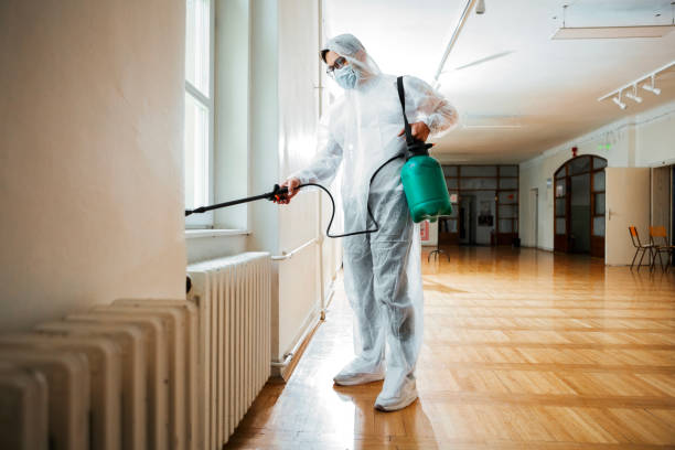Best Pest Removal Services  in Somersworth, NH